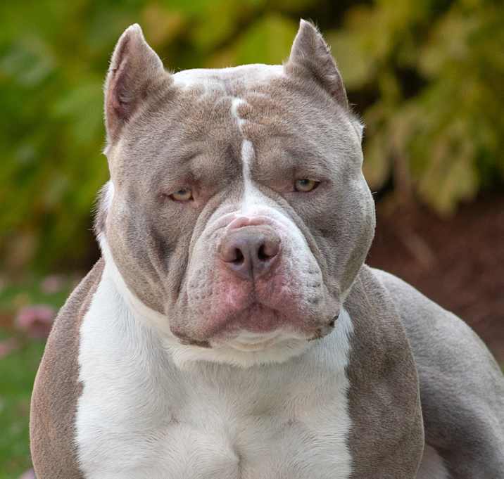 Photo of Kolbe