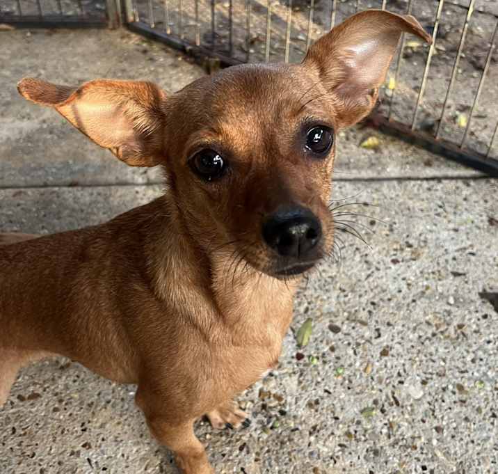 Photo of Sugar