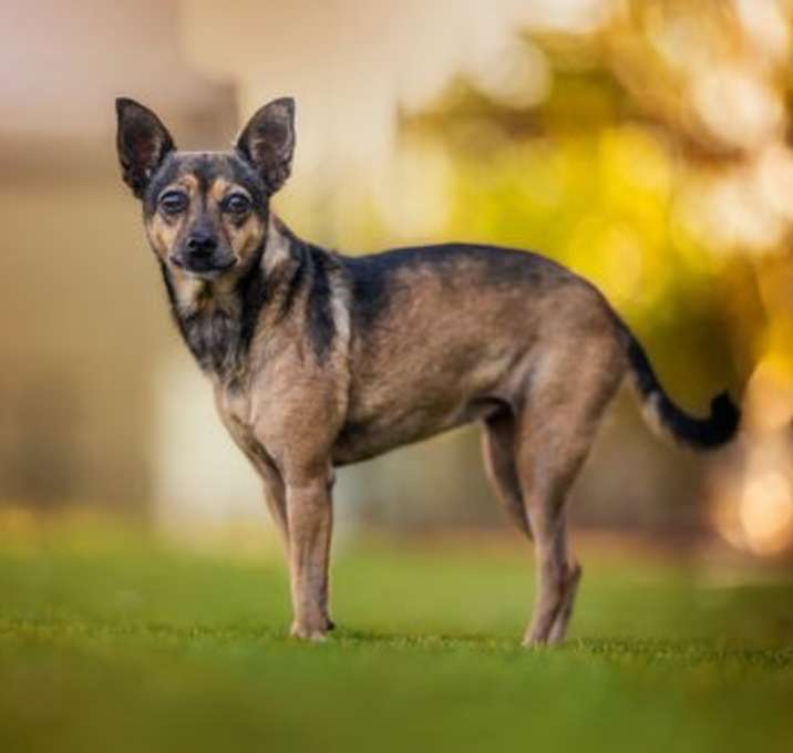 Photo of Leia