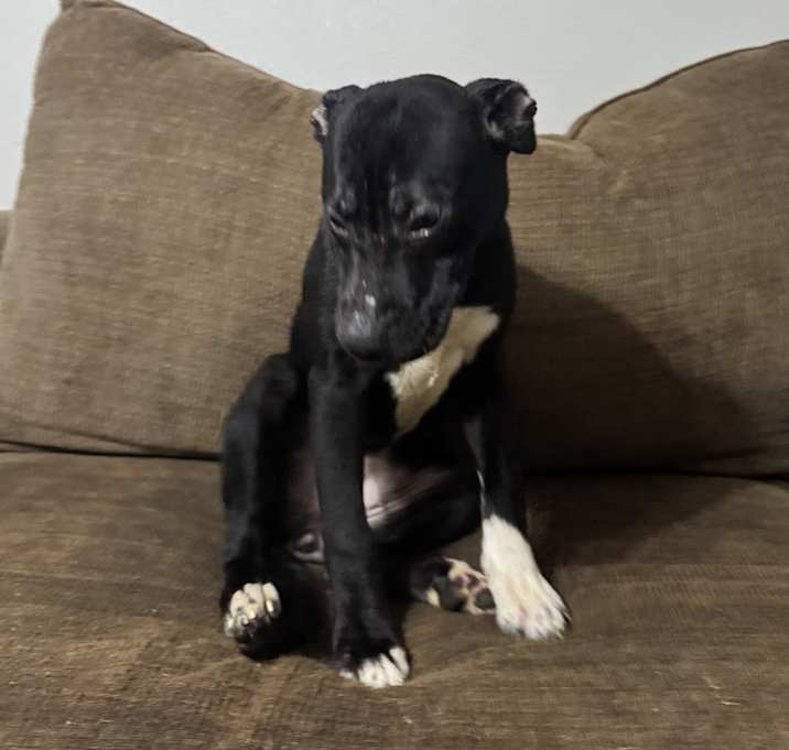 Photo of Socks