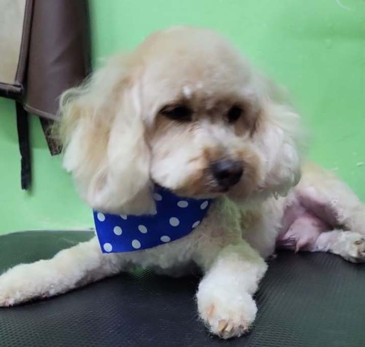 Photo of Benny