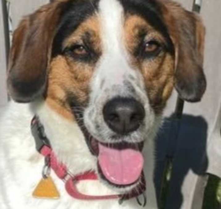 Photo of JR