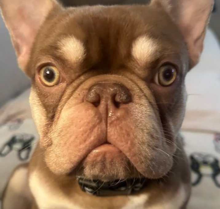 Photo of Cruz