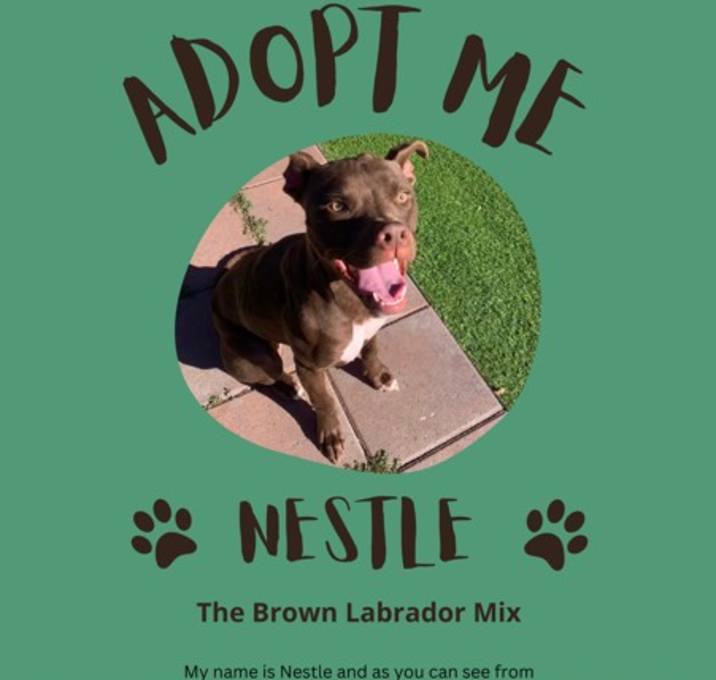 Photo of Nestle