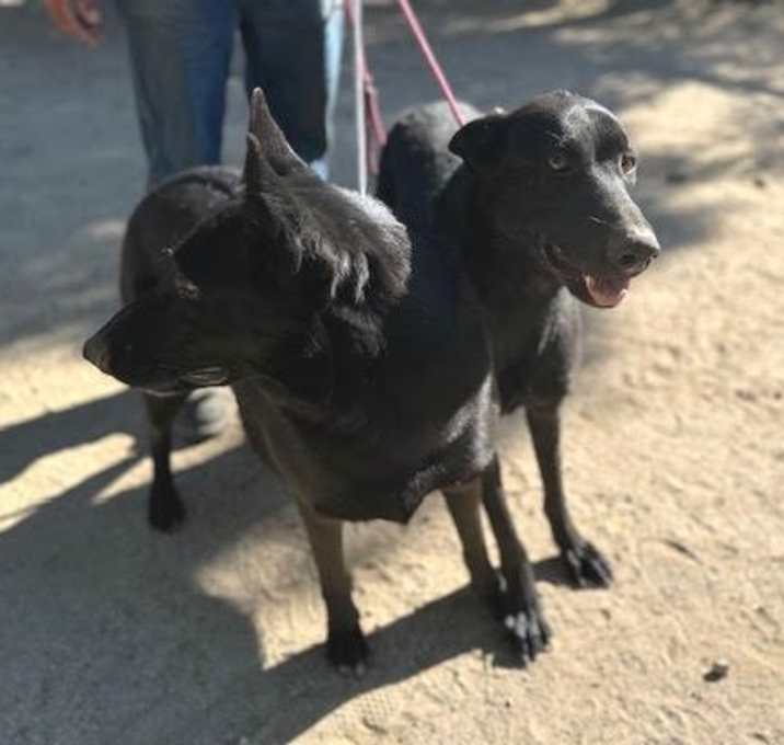 Photo of GRACE & KATIE