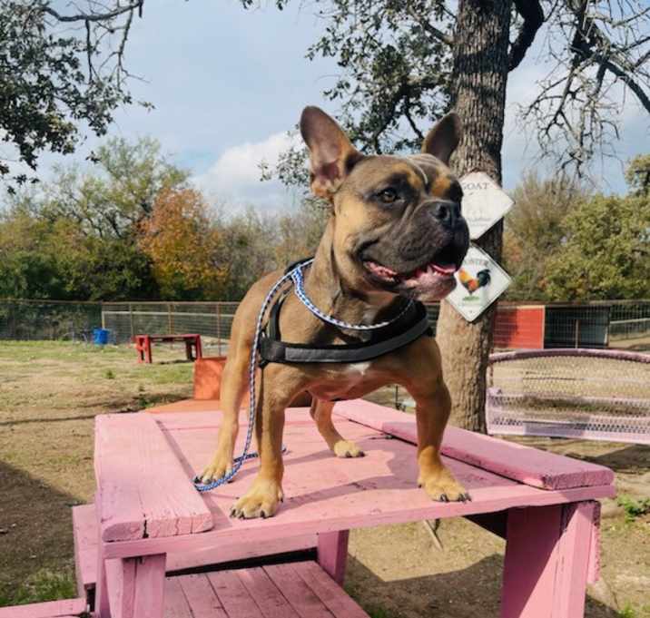 Photo of Zeus