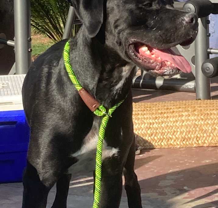 Photo of Titan