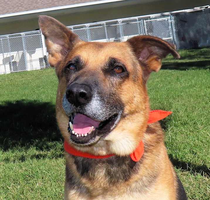 Photo of Oscar