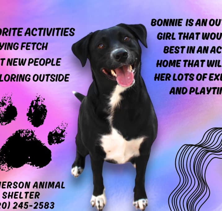 Photo of Bonnie