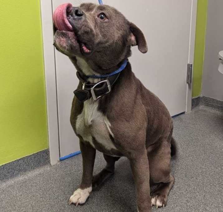 Photo of Ernie