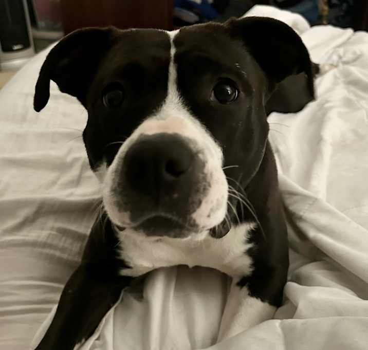 Photo of CLEO