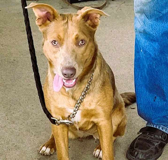 Photo of Skye
