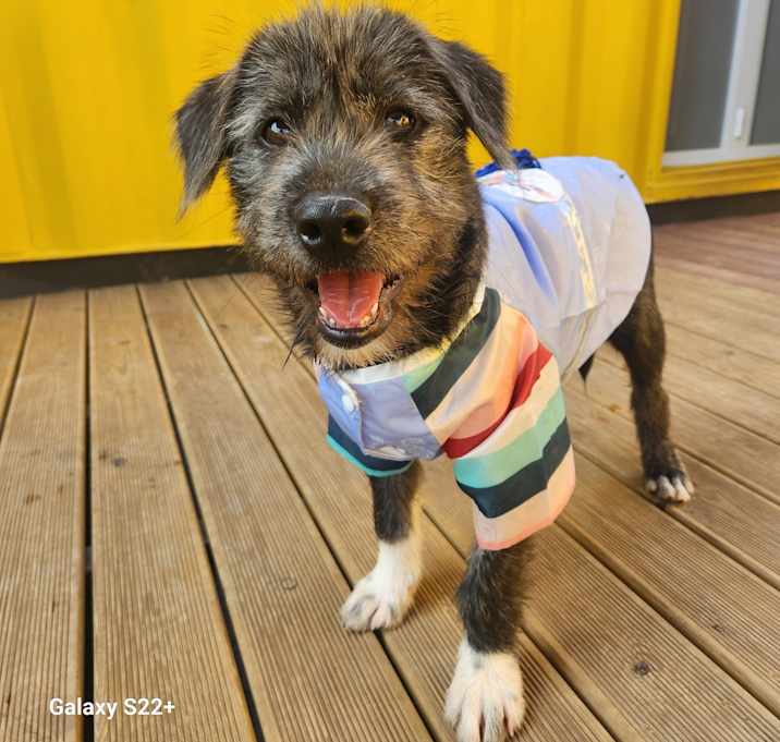 Photo of Atom