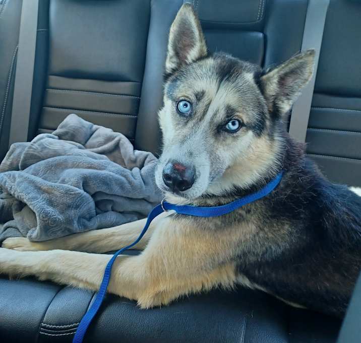 Photo of Felix