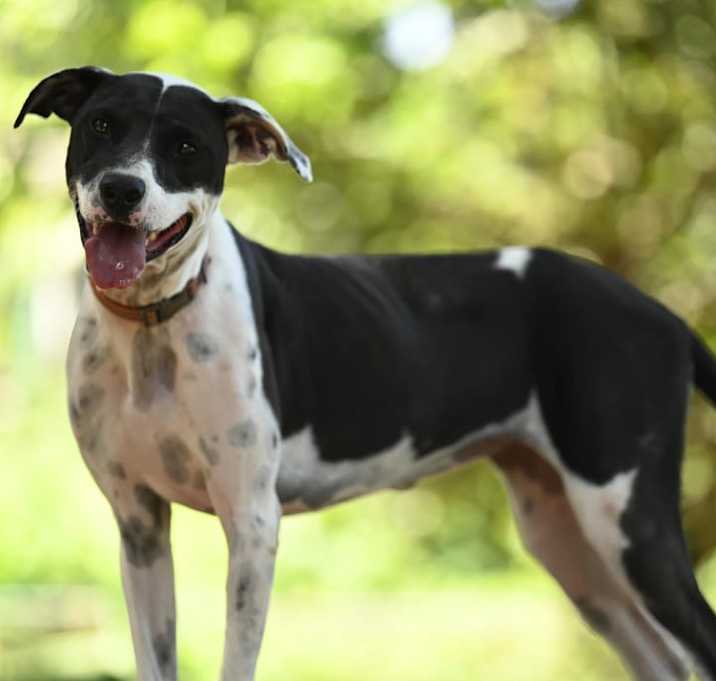 Photo of Julieta
