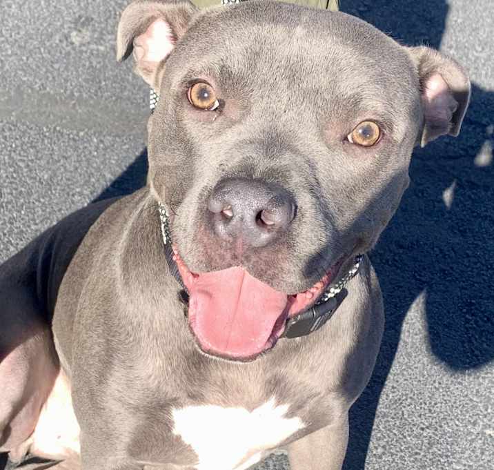 Photo of Roscoe
