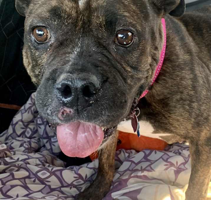 Photo of Coco