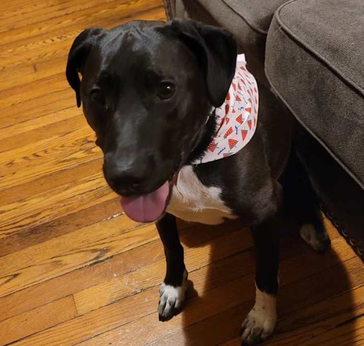 Photo of Ellie Jinora