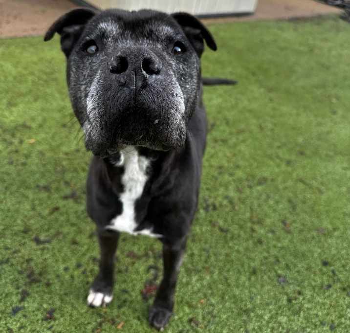 Photo of Bill  A049293