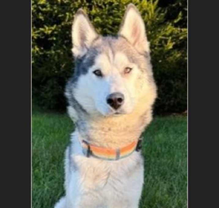 Photo of Kye