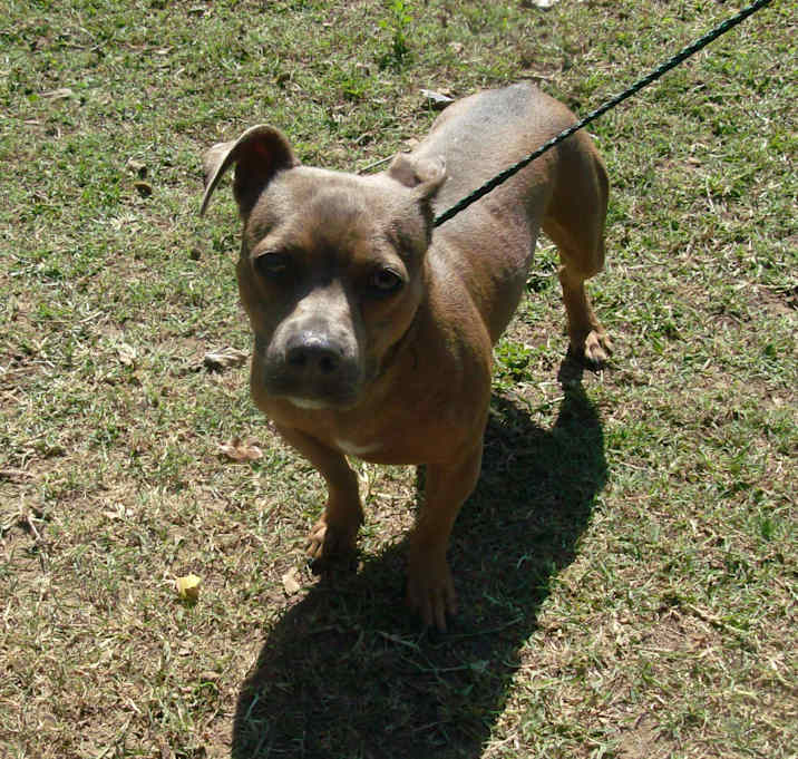 Photo of PRINCESS