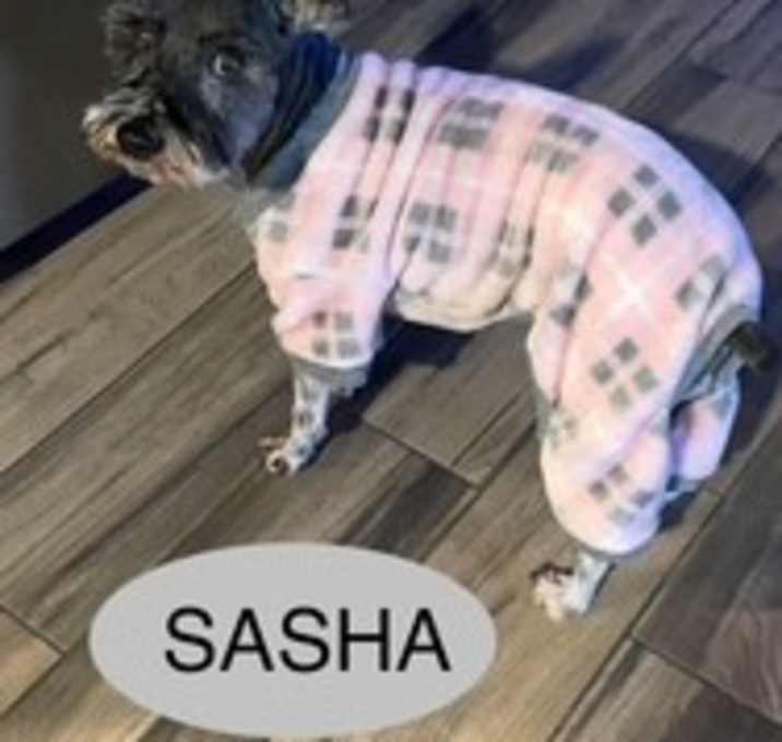 Photo of Sasha