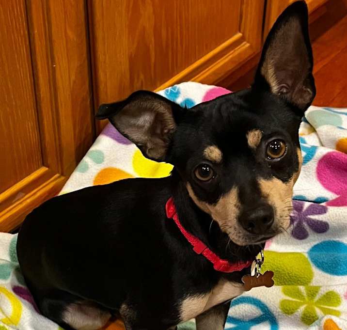 Photo of Ernest