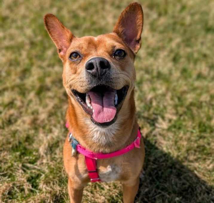 Photo of Lucy
