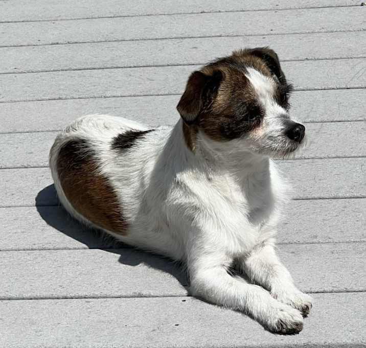 Photo of Kimchi