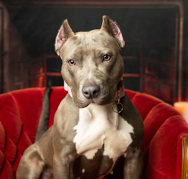 Photo of Trinity