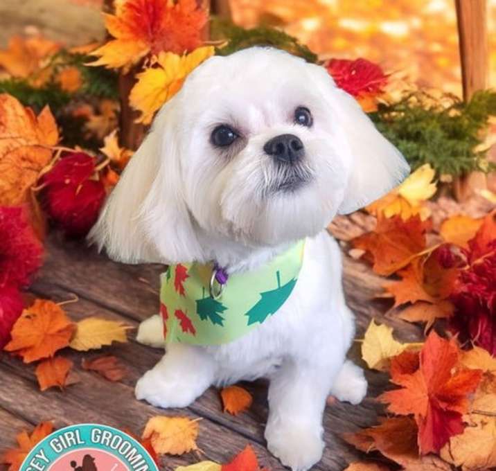 Photo of Alvin (SC)