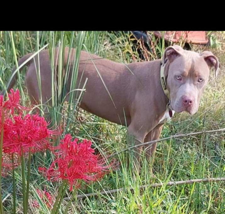 Photo of Thelma