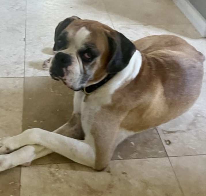 Photo of VINCE