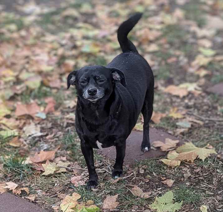 Photo of Otto