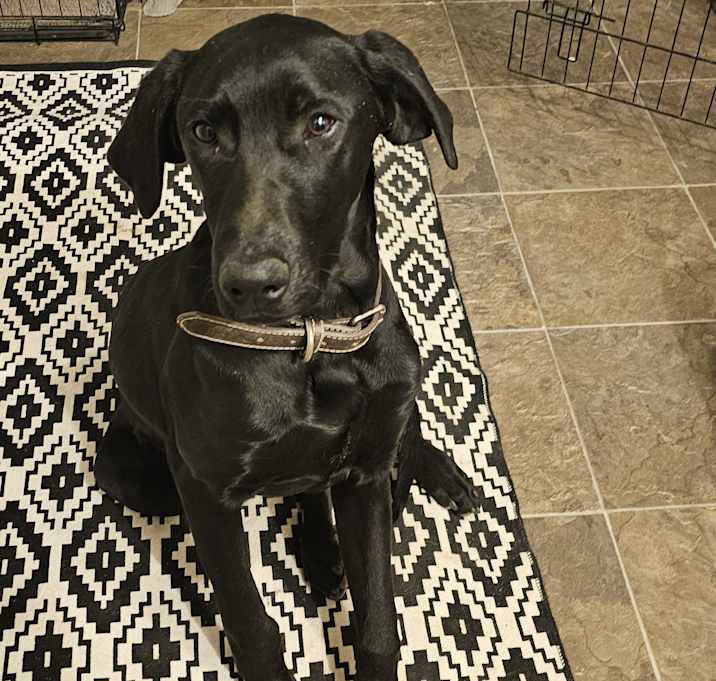 Photo of Kane