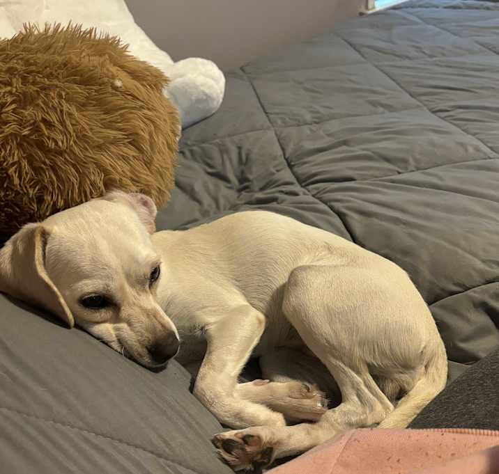Photo of Maggie
