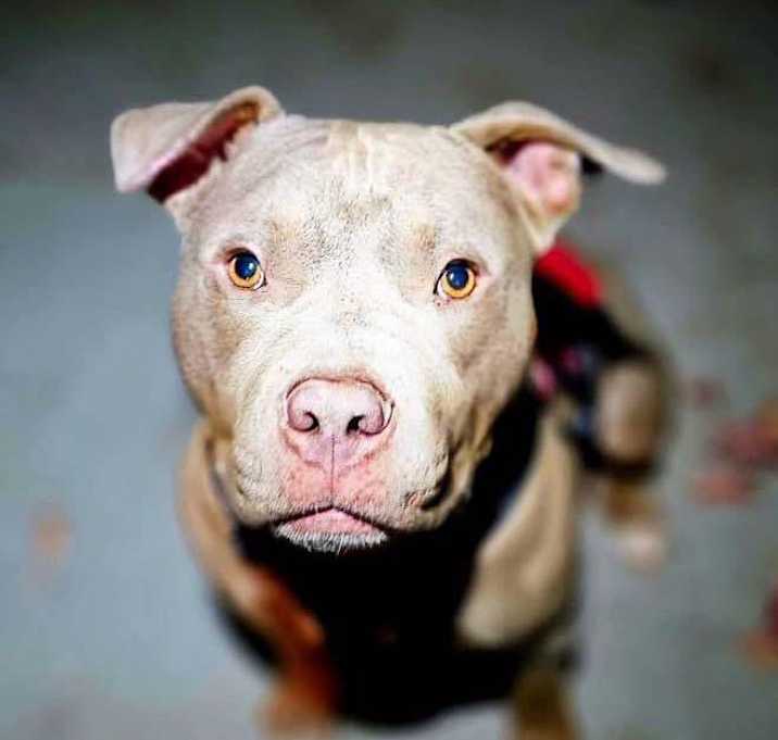 Photo of Tex