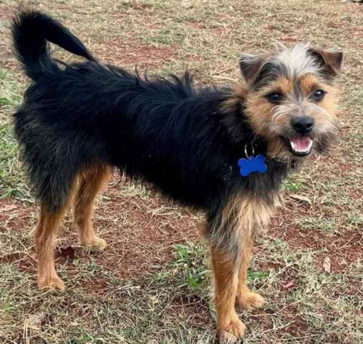 Photo of Tango