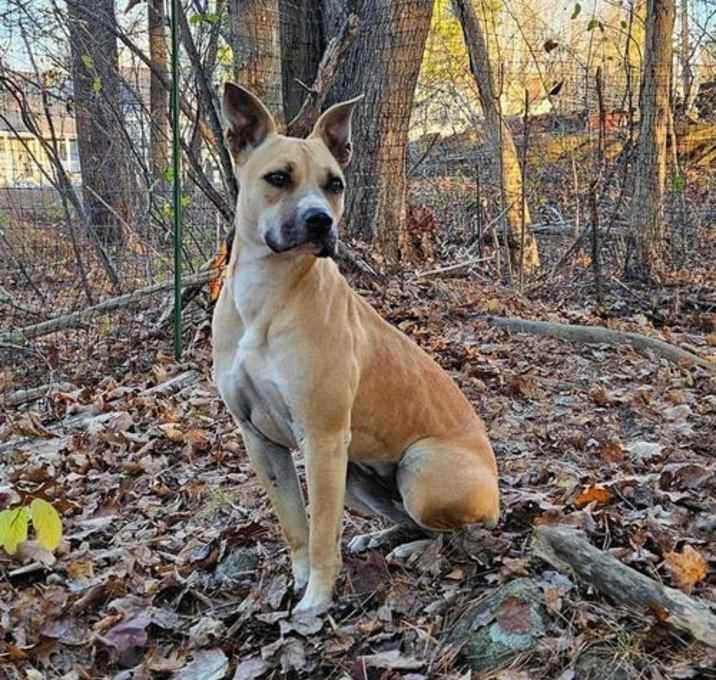 Photo of Agatha (Aggie)
