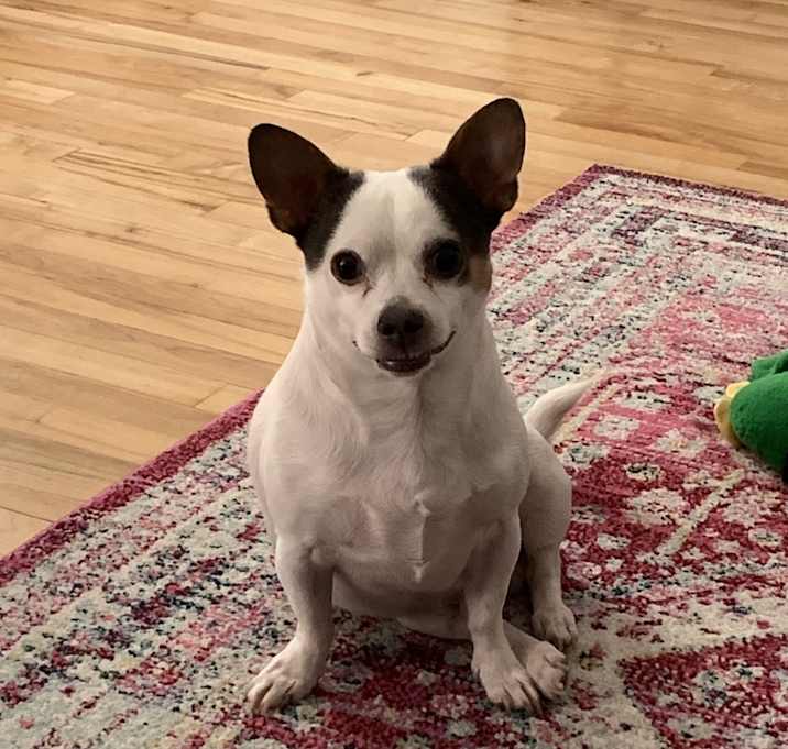 Photo of Tank
