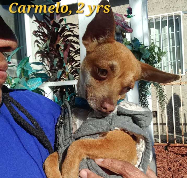 Photo of Carmelo