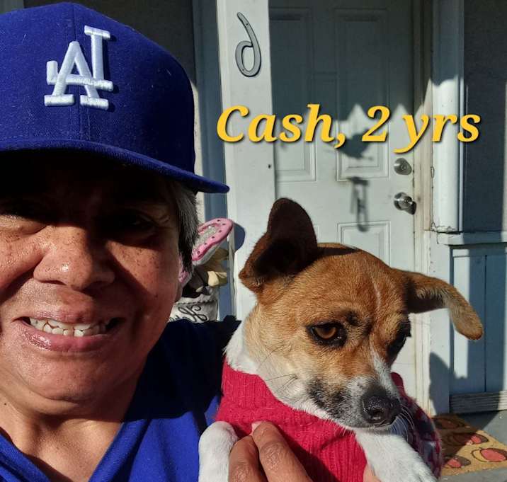 Photo of Cash