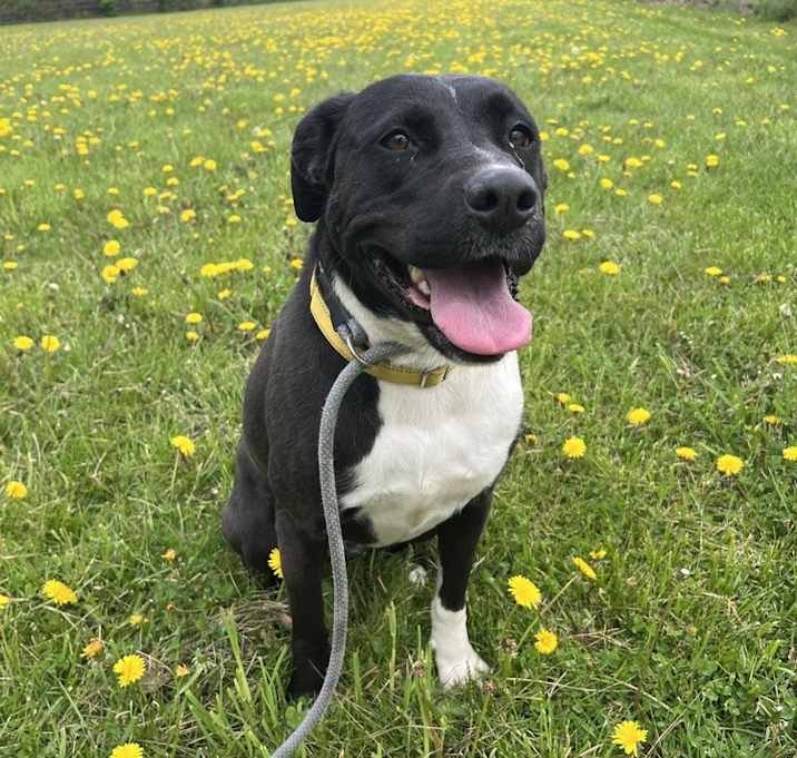 Photo of Molly