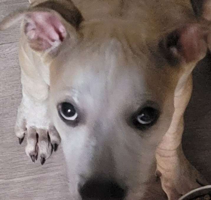 Photo of Happy