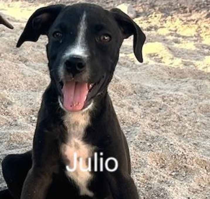 Photo of Julio