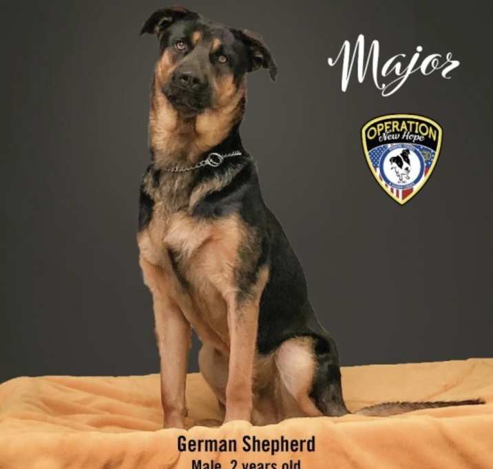 Photo of Major