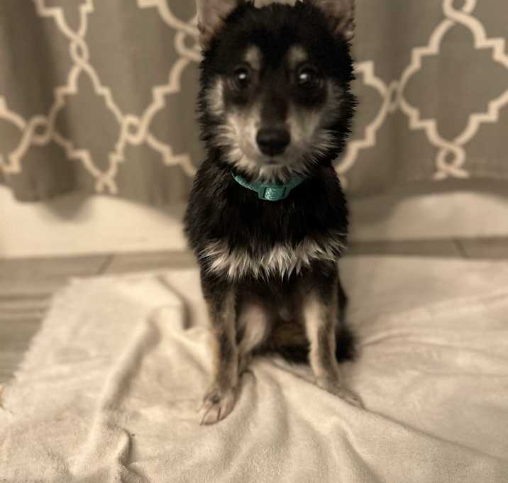 Photo of Mila