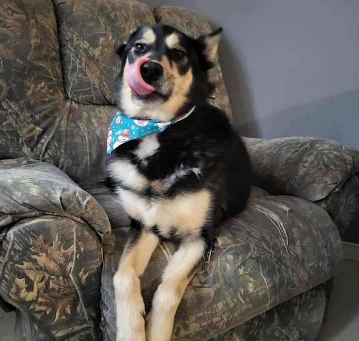Photo of Fang