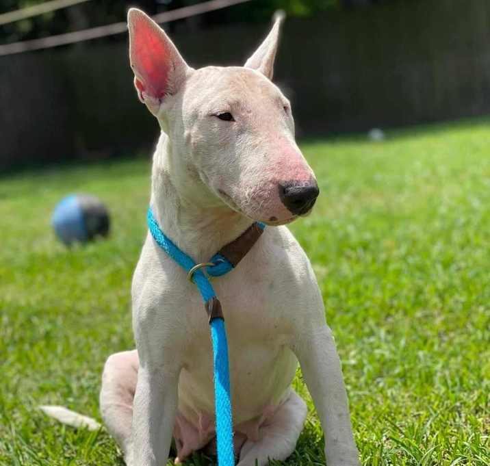 Photo of Paloma