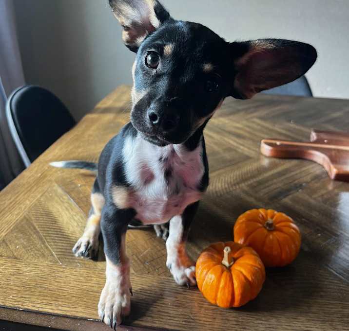 Photo of Camila
